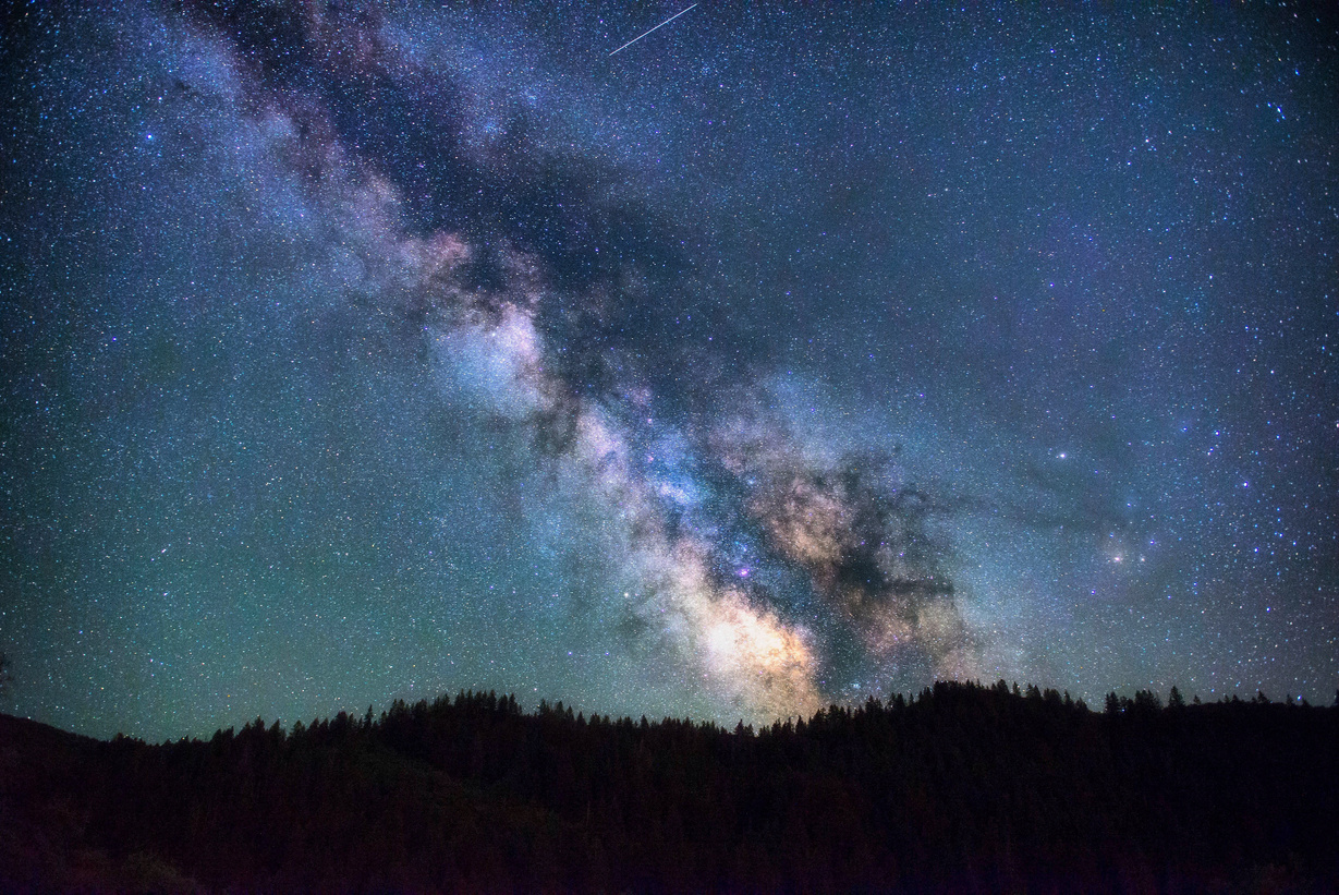 Starry Sky over Forest